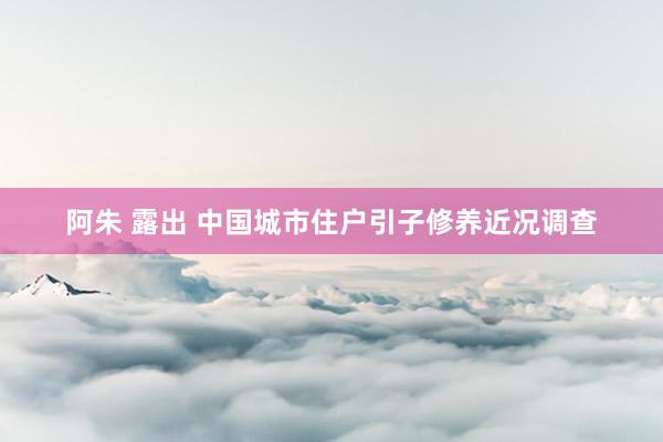 阿朱 露出 中国城市住户引子修养近况调查