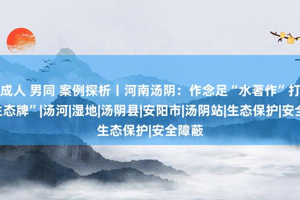 成人 男同 案例探析丨河南汤阴：作念足“水著作”打好“生态牌”|汤河|湿地|汤阴县|安阳市|汤阴站|生态保护|安全障蔽
