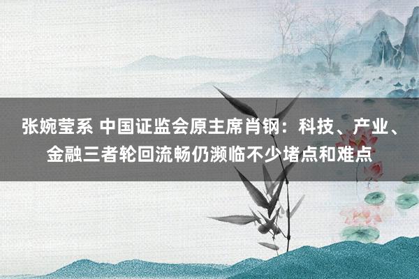 张婉莹系 中国证监会原主席肖钢：科技、产业、金融三者轮回流畅仍濒临不少堵点和难点