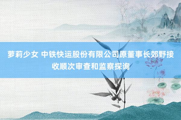 萝莉少女 中铁快运股份有限公司原董事长郊野接收顺次审查和监察探询
