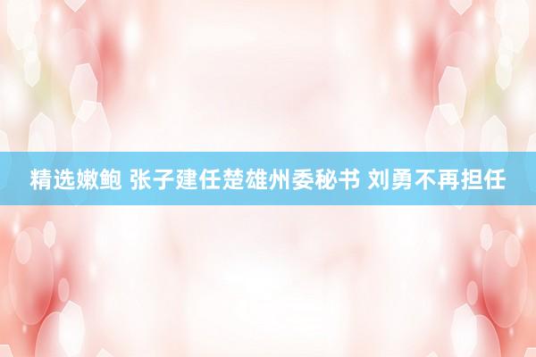 精选嫩鲍 张子建任楚雄州委秘书 刘勇不再担任