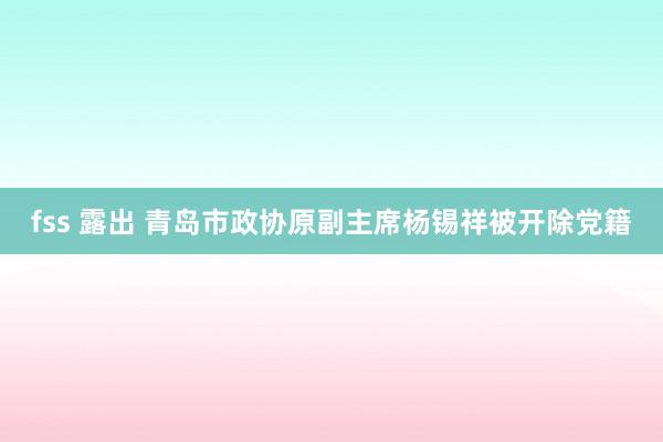 fss 露出 青岛市政协原副主席杨锡祥被开除党籍