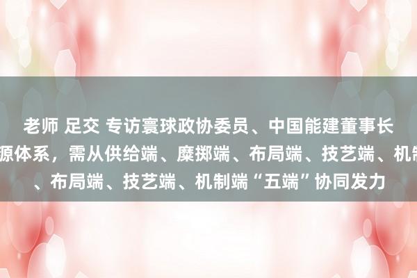 老师 足交 专访寰球政协委员、中国能建董事长宋海良：构建新式能源体系，需从供给端、糜掷端、布局端、技艺端、机制端“五端”协同发力