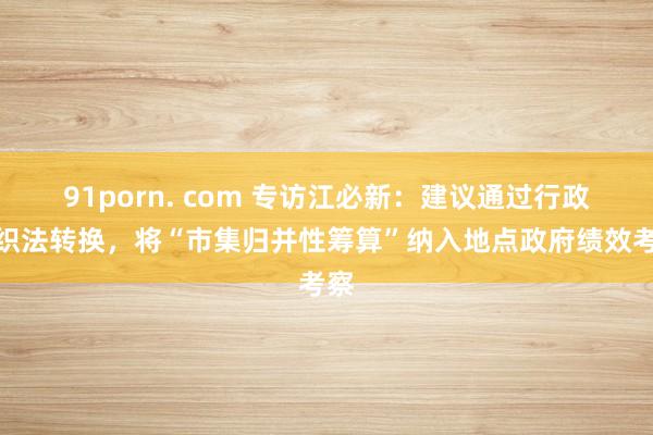 91porn. com 专访江必新：建议通过行政组织法转换，将“市集归并性筹算”纳入地点政府绩效考察
