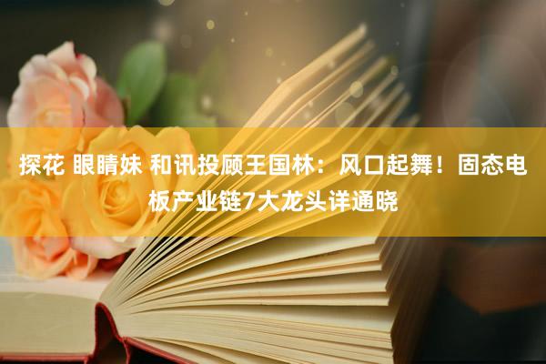 探花 眼睛妹 和讯投顾王国林：风口起舞！固态电板产业链7大龙头详通晓