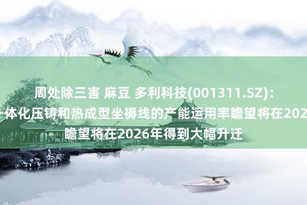 周处除三害 麻豆 多利科技(001311.SZ)：公司先期插足的一体化压铸和热成型坐褥线的产能运用率瞻望将在2026年得到大幅升迁